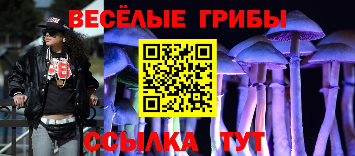 Десногорск  Галлюциногенные грибы Magic Shrooms  Вход с VPN 